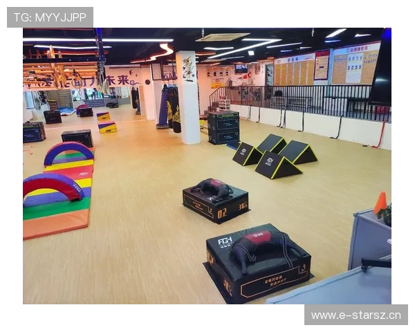 科学制定系统高效的跆拳道训练计划提升技术与身体素质