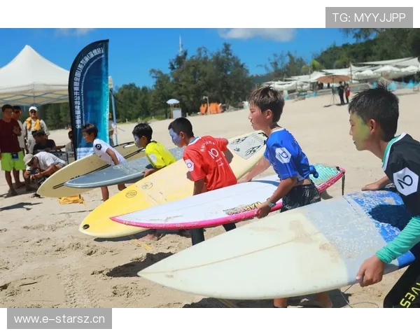轻松掌握冲浪技巧 从零基础到冲浪高手的全方位教学视频