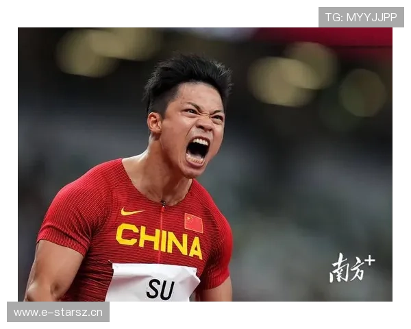 全面掌握举重观赛要点的实用入门指南与赛场亮点解析全景呈现比赛魅力